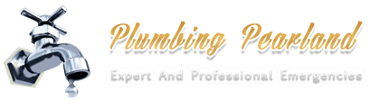 drain cleaning webster